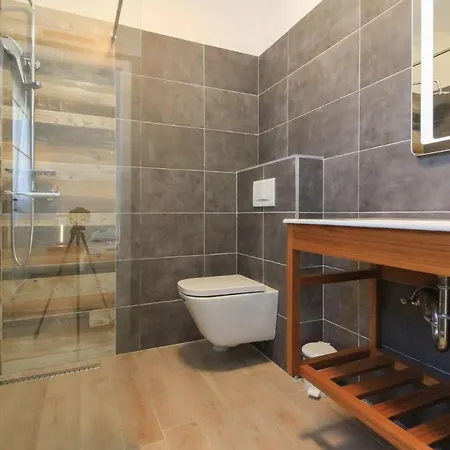Villa New Beautiful With Private Pool In Istria